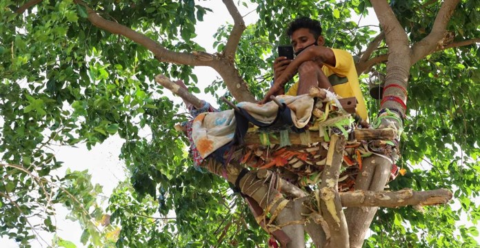 Pasa 11 días en árbol para no contagiar de COVID-19 a su familia