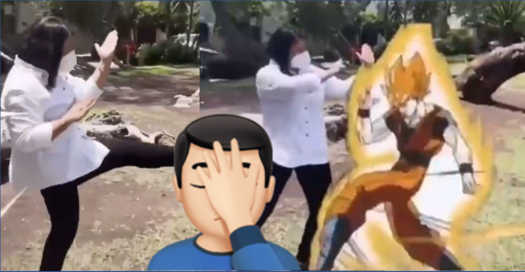 Candidata a diputada pelea contra Goku para ganar votos