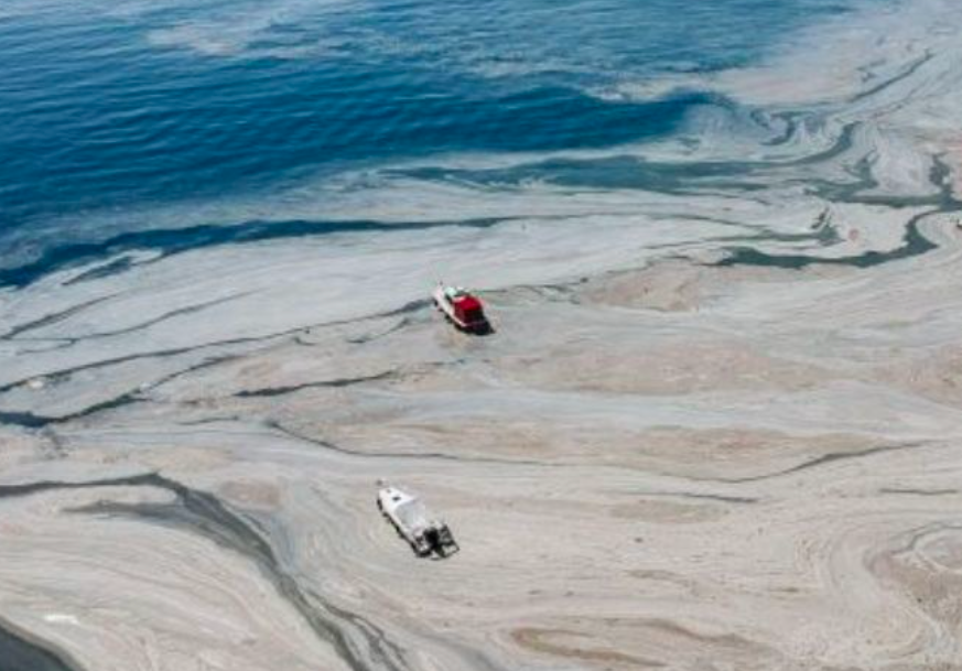 Grecia investiga posible brote de moco marino