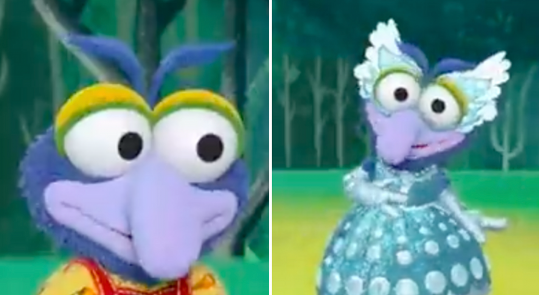 Gonzo se identifica como género fluido