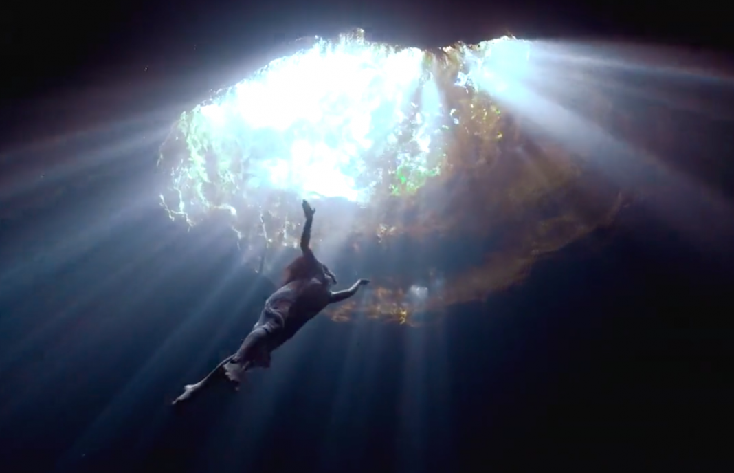 Camila Jaber, mexicana premiada en la COP26