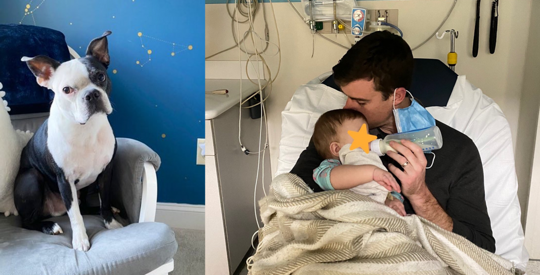 Perro avisa que bebé no puede respirar y le salva la vida