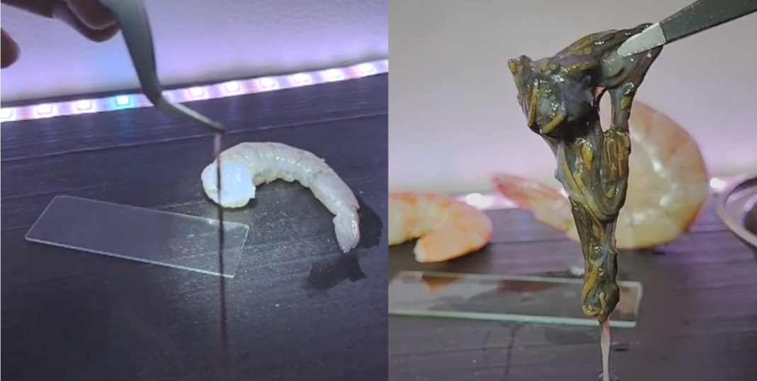 ¿Qué que tienen las ‘venas’ de los camarones?