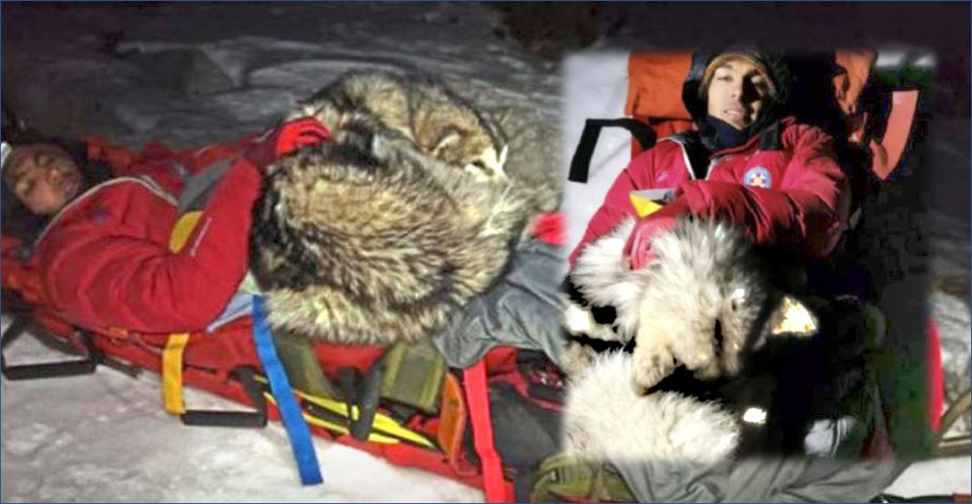 Perro cubre con su cuerpo a su amo y lo salva de morir