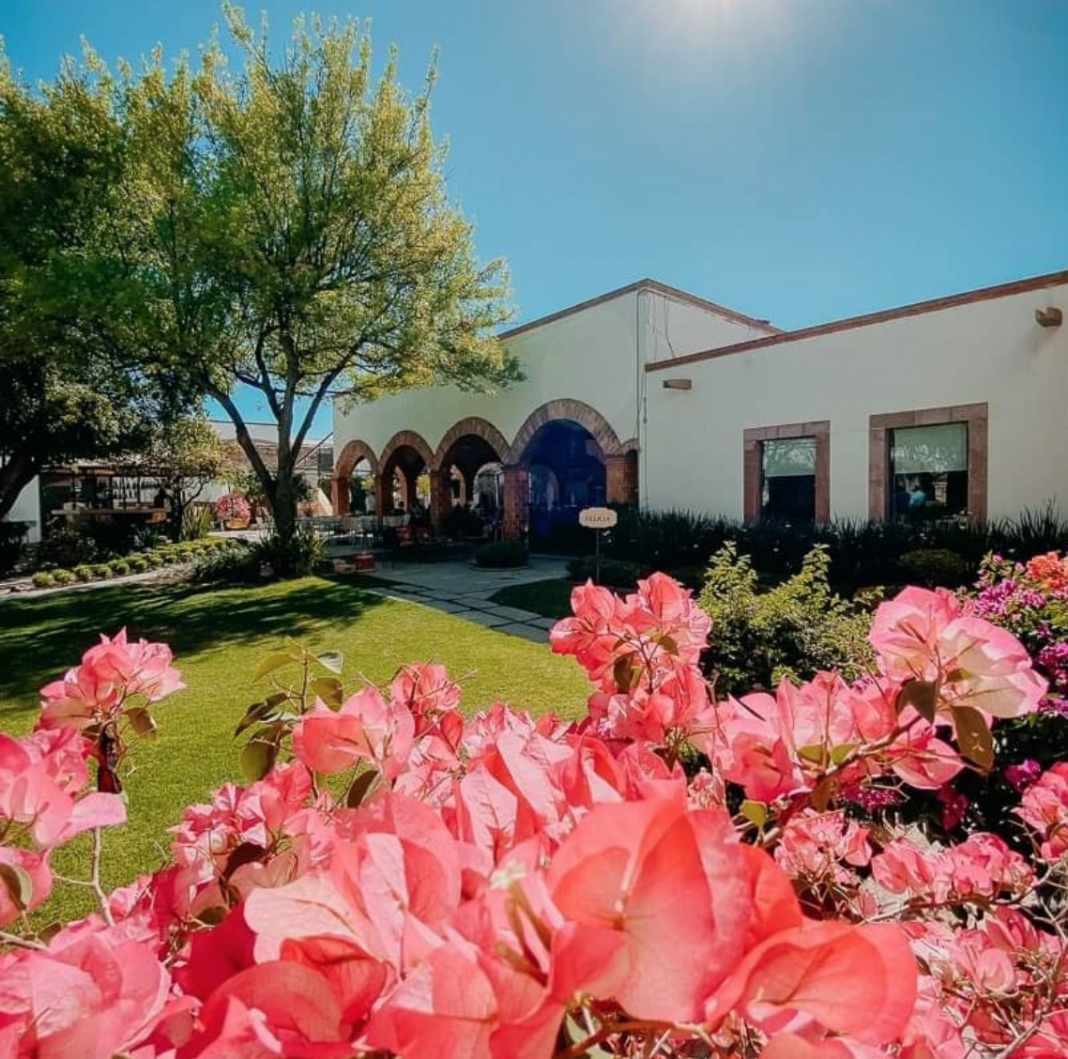 ¿Sabías que te puedes hospedar en la hacienda del expresidente Vicente Fox?