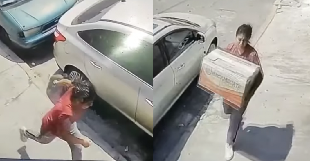 Abandona a cachorros en una caja y mueren de calor