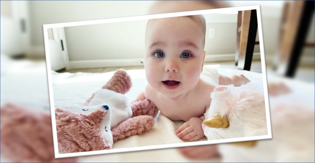 ¡Conoce a la nueva bebé Gerber!