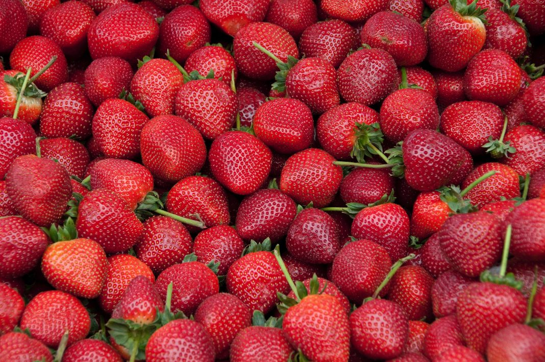 Investigan casos de hepatitis vinculados a fresas