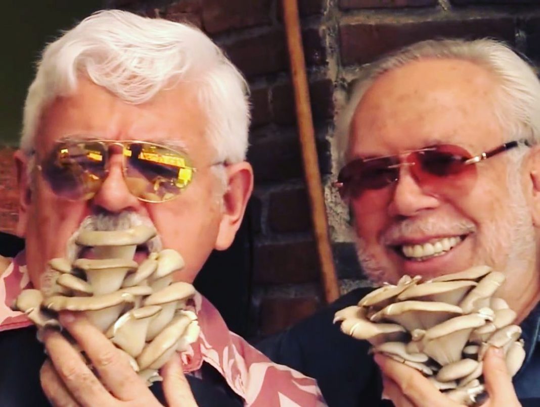 «Con él (Luis de Llano) hasta la muerte»: Marco Flavio