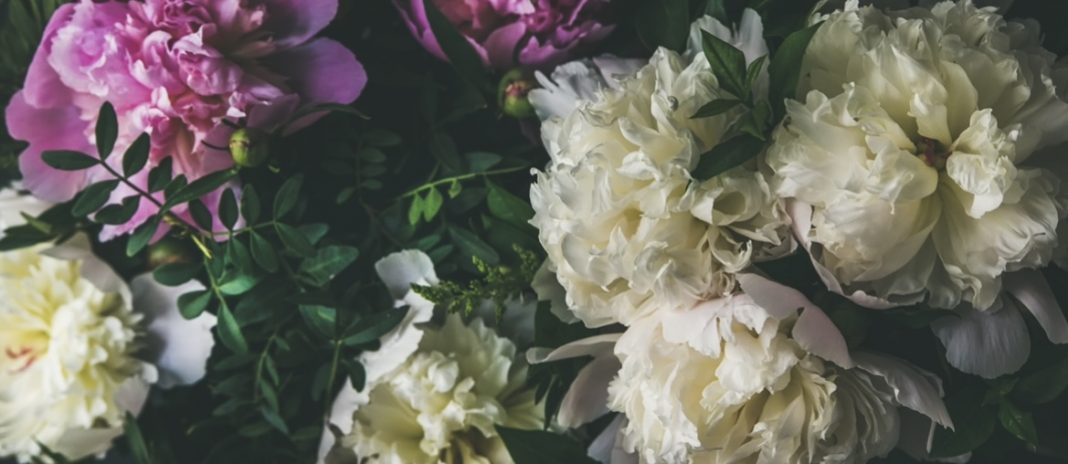 165 aniversario de la Feria de las Flores en San Ángel 2022