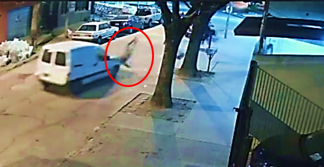 Hijo atropella al hombre que asaltó a su mamá