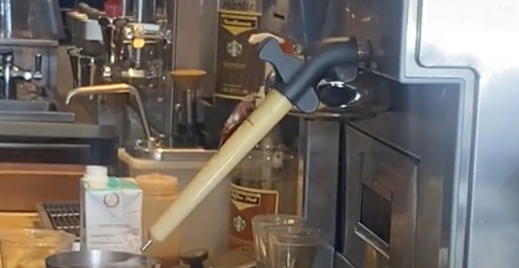 Captan a cucaracha paseando en famosa cafetería