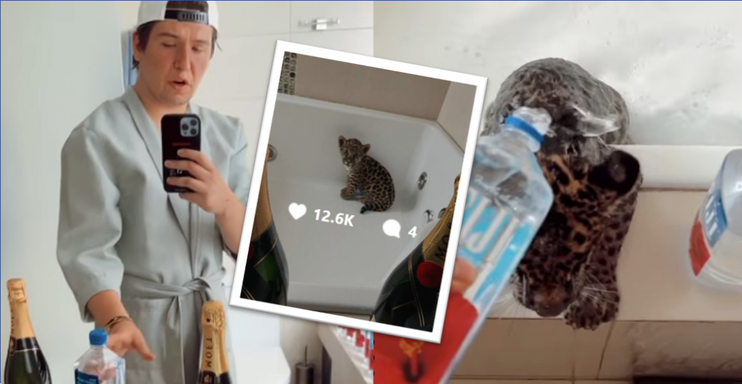 Fofo Márquez bañó a su jaguar con agua Fiji y champaña