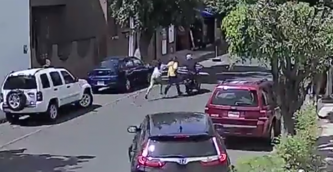 La asaltan en Guadalajara y resulta profesional de jiu-jitsu