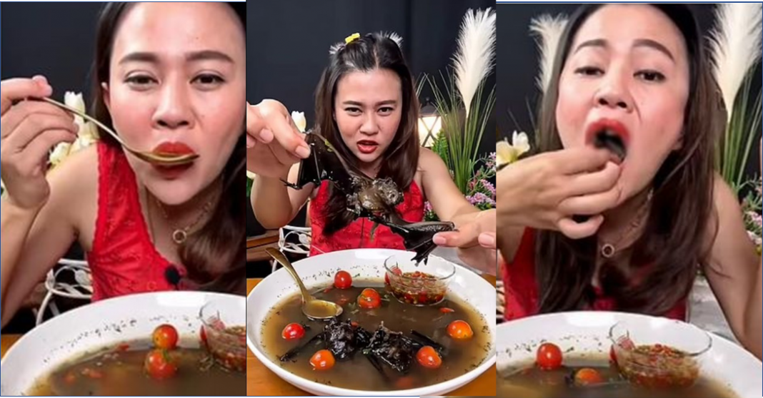 Youtuber de Tailandia se come un murciélago y la arrestan