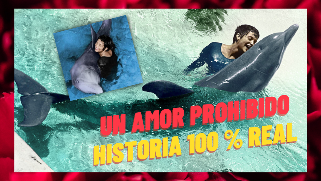 La triste historia de amor entre Peter el delfín y su maestra