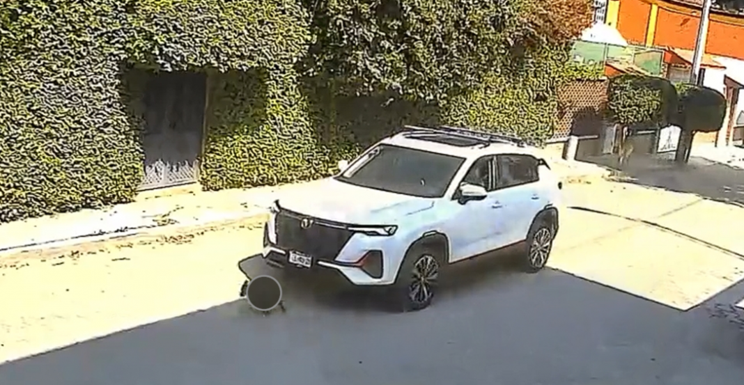 Mujer atropella a propósito a perrita en el Estado de México