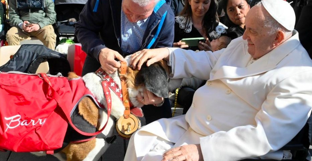 ¿Por qué este precioso San Bernardo visitó al Papa Francisco?