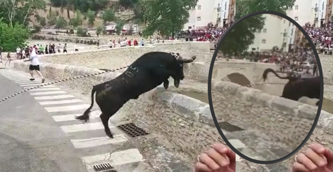 Sacrifican toro por romperse las patas en ‘fiesta’ taurina