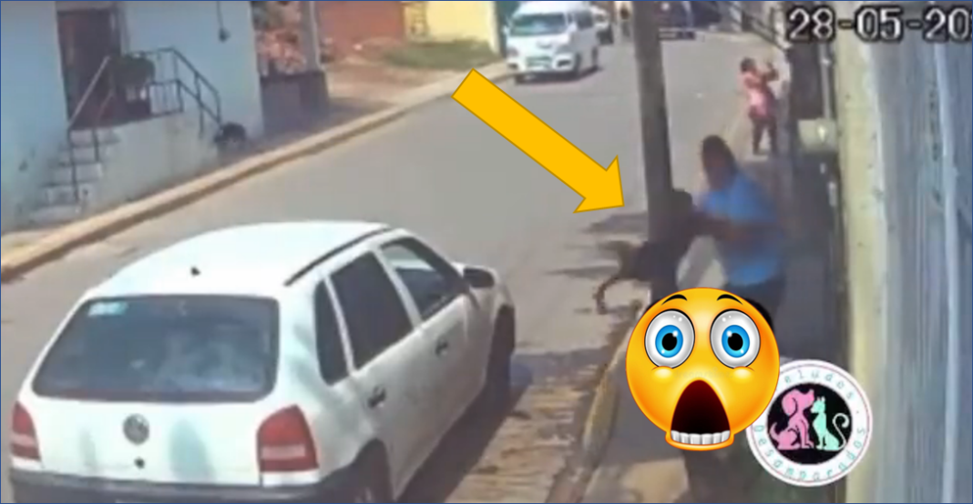 ¡Bestia! Aventó un perrito a cazo con aceite hirviendo